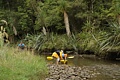 Okarito River kayakers