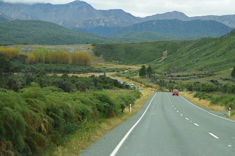 Milford Sound Highway - Eglinton Valley