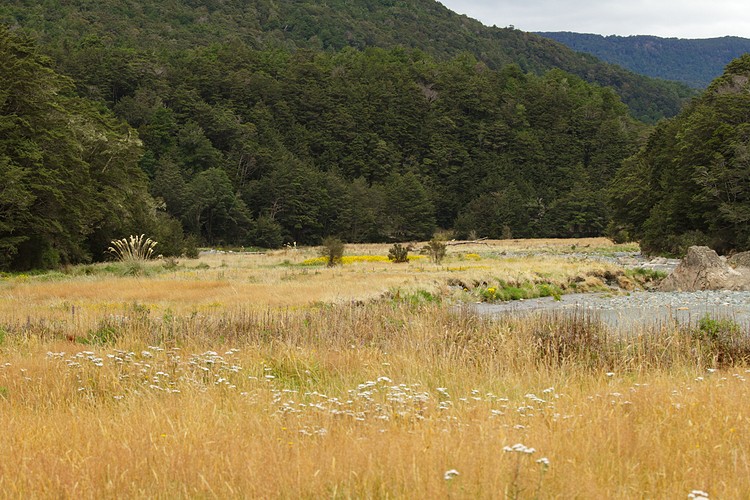 Eglinton River Valley