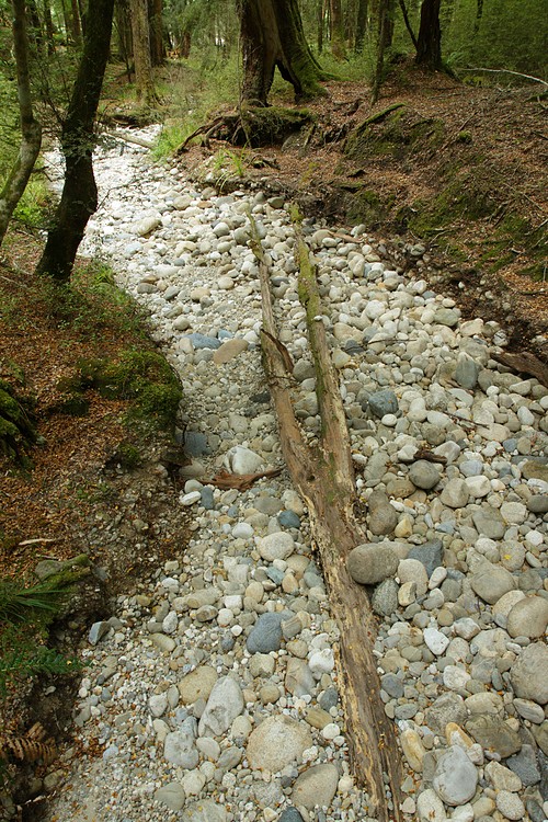 Dry stream bed