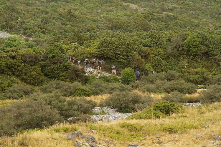 Trekkers ascending Sealy Tarns Track