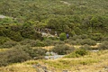 Trekkers ascending Sealy Tarns Track