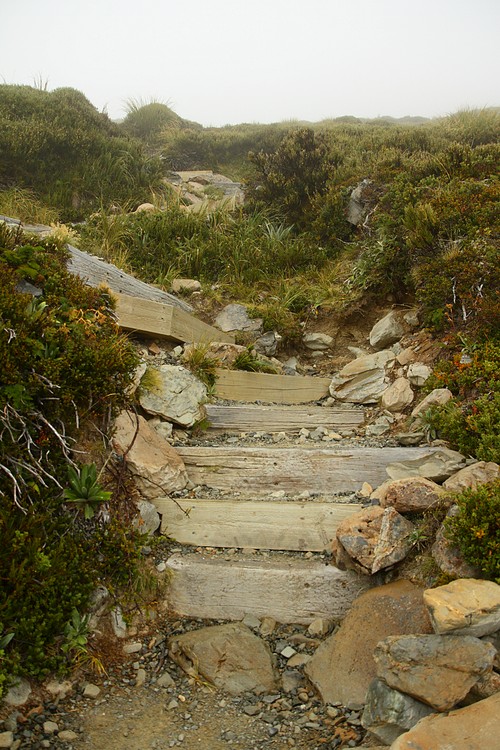 Sealy Tarns Track