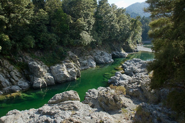 Pelorus River