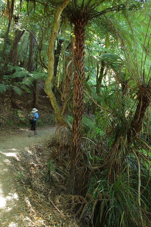 Queen Charlotte Track