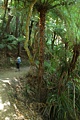 Queen Charlotte Track