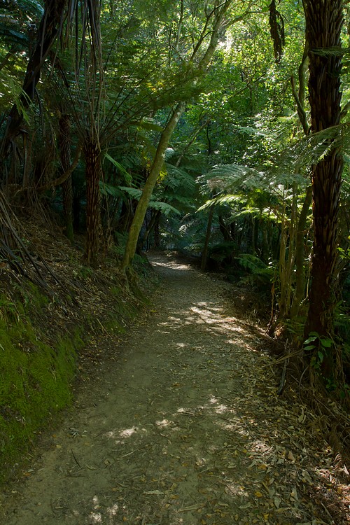 Queen Charlotte Track