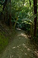 Queen Charlotte Track