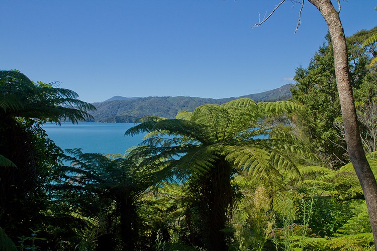 Queen Charlotte Track