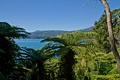 Queen Charlotte Track