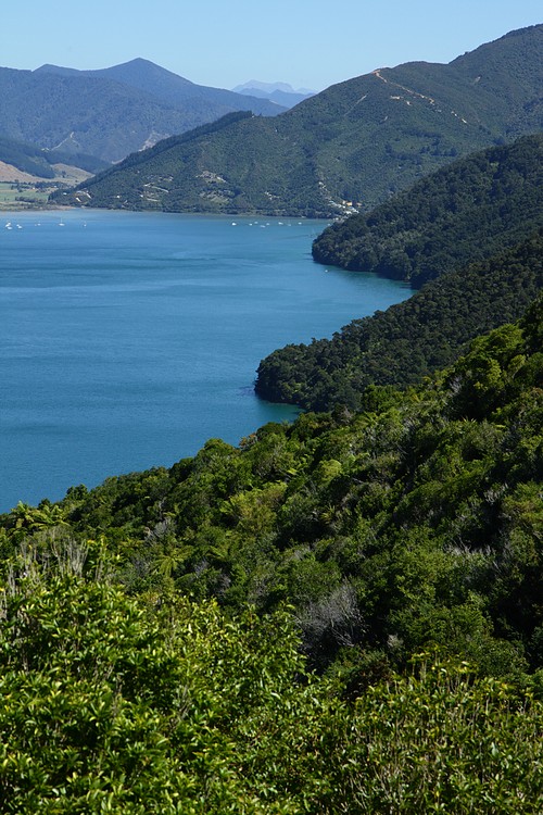 Grove Arm and distant mountains