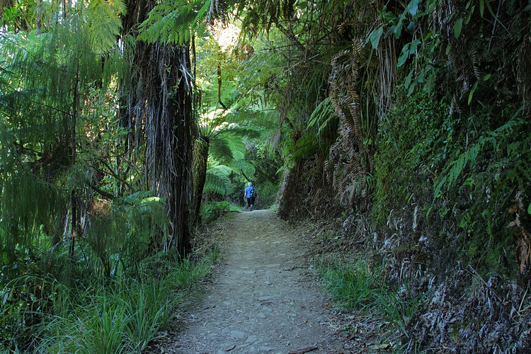 Queen Charlotte Track