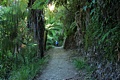 Queen Charlotte Track