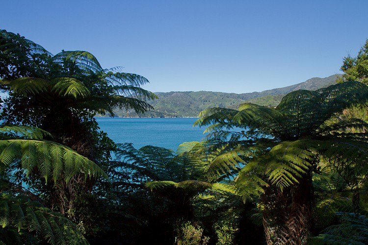 Queen Charlotte Track