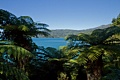 Queen Charlotte Track