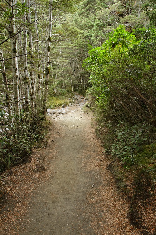 Taranaki Falls Trail