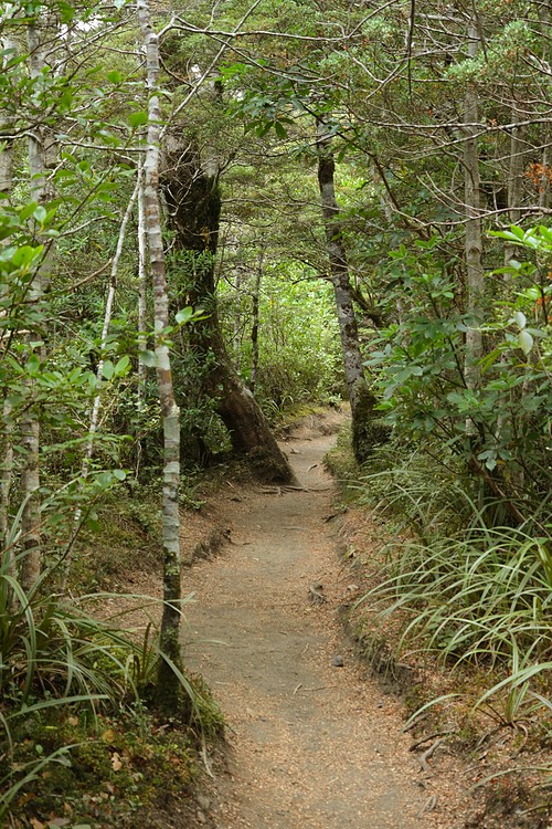 Taranaki Falls Trail