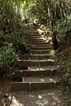 Taranaki Falls Track