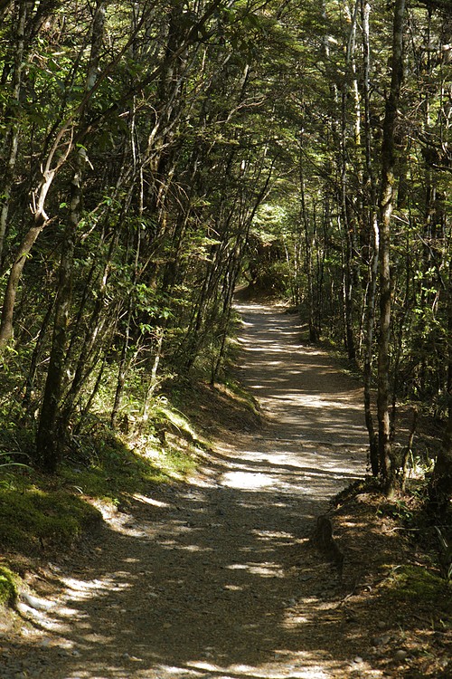 Taranaki Falls Track