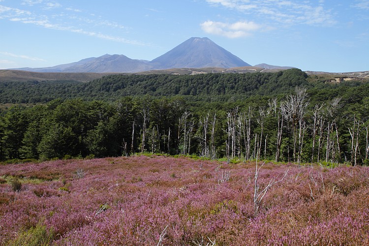 Mount Ngauruhoe