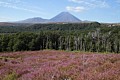 Mount Ngauruhoe