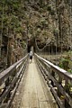 Waitawheta Gorge suspension bridge