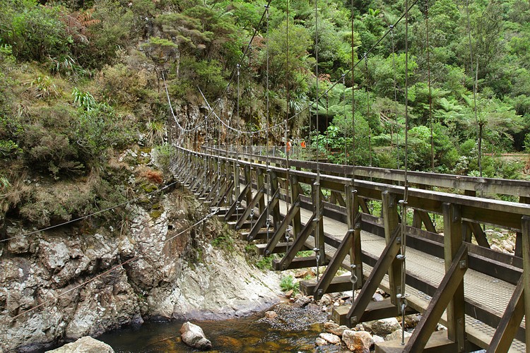 Waitawheta Gorge suspension bridge