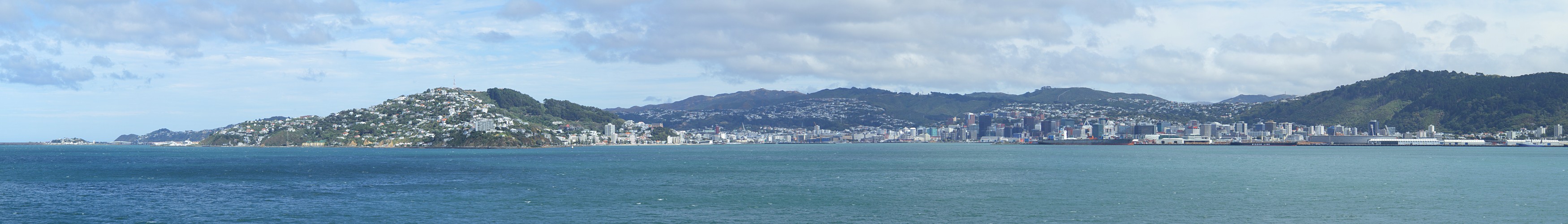 Wellington panorama