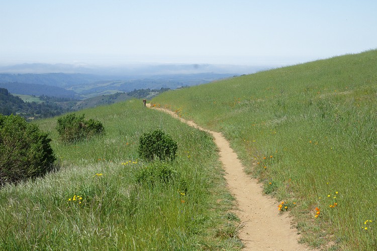 Russian Ridge Open Space Preserve