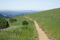 Russian Ridge Open Space Preserve