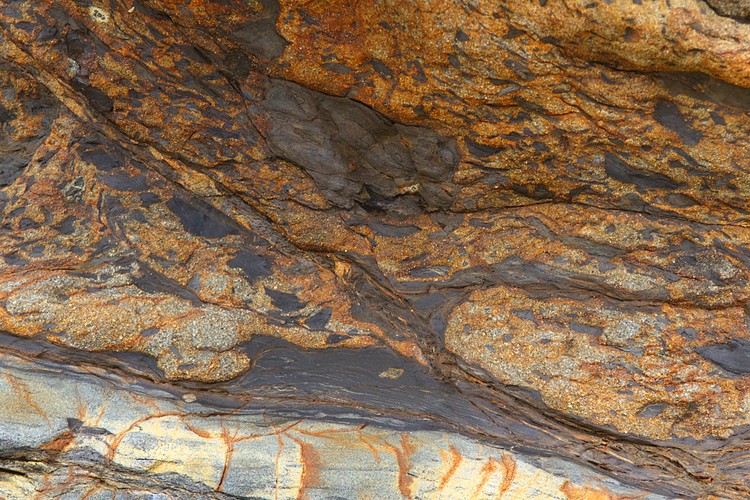 Point Lobos State Reserve