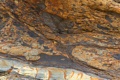 Point Lobos State Reserve