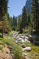 Kaweah River - Marble Fork