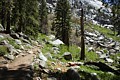 Tokopah Falls Trail