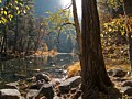 Merced River