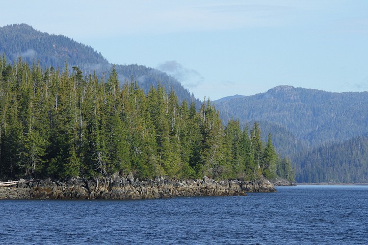 Tidal zone - Revillagigedo Island