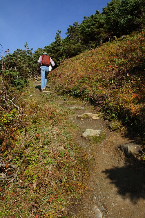 Gastineau Peak Trail