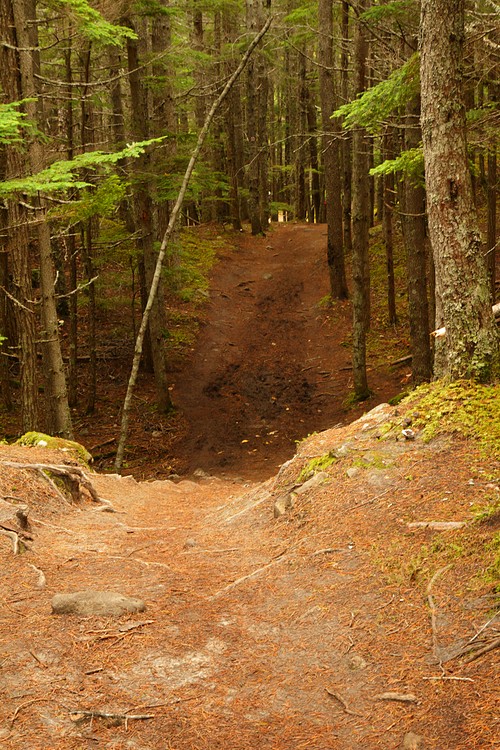 Lower Dewey Lake Trail