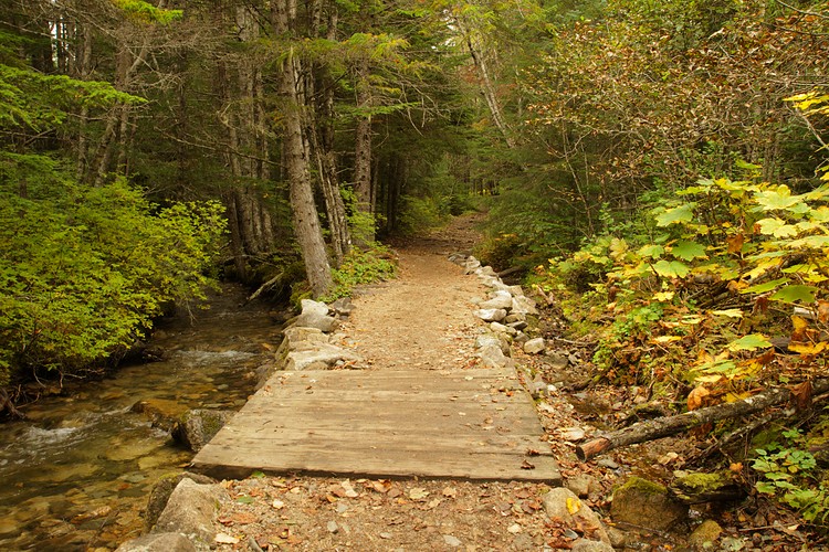 Dewey Creek