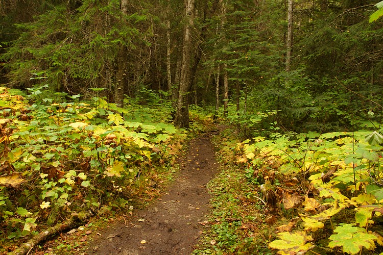 Lower Dewey Lake Trail