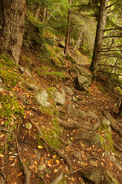 Lower Dewey Lake Trail