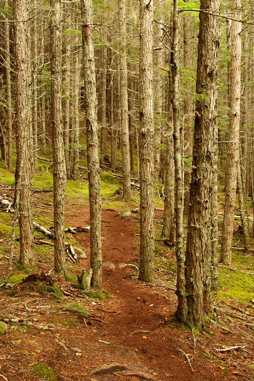 Lower Dewey Lake Trail
