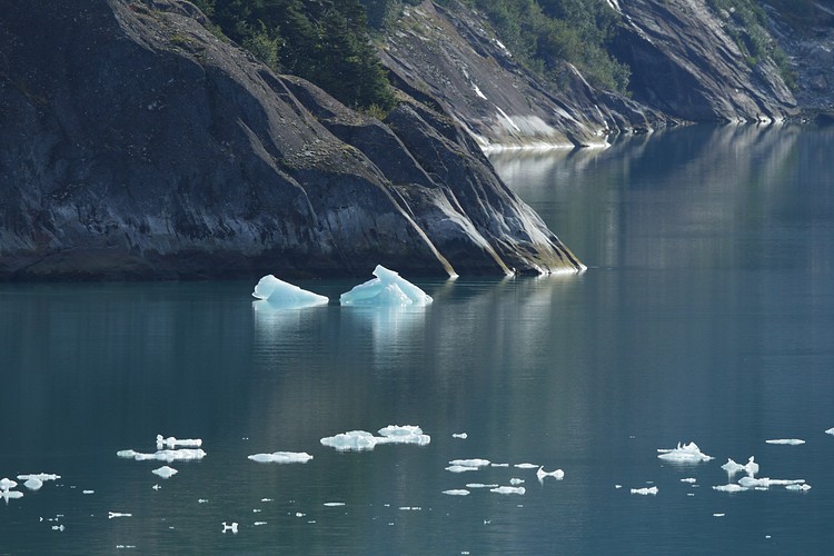 Iceburgs at the tidal zone
