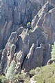 Pinnacles