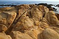 Point Lobos