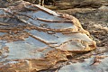 Point Lobos