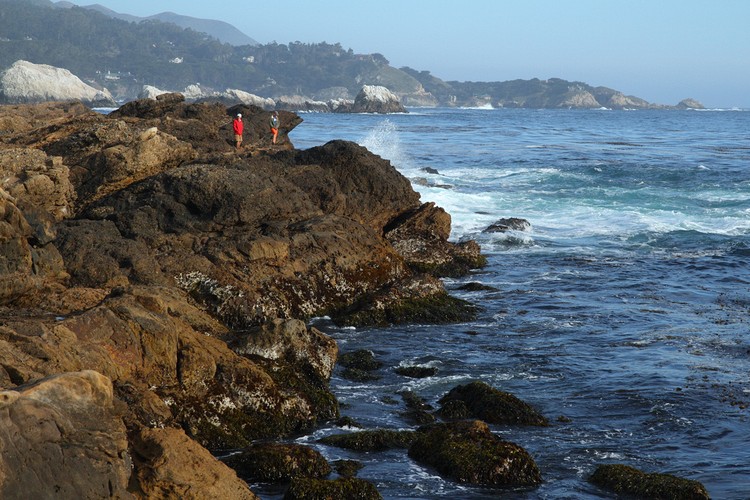 Point Lobos