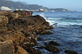 Point Lobos