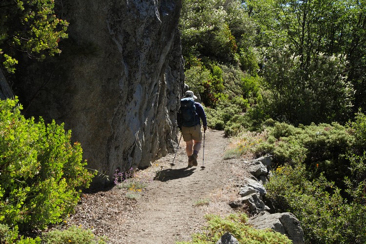 Diane on the High Sierra Trail