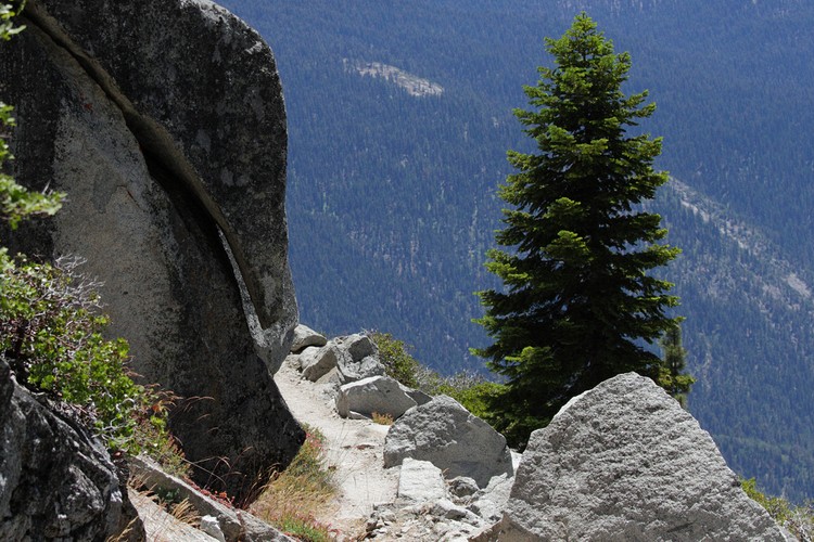 High Sierra Trail
